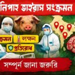 Nipah-Virus-Infection